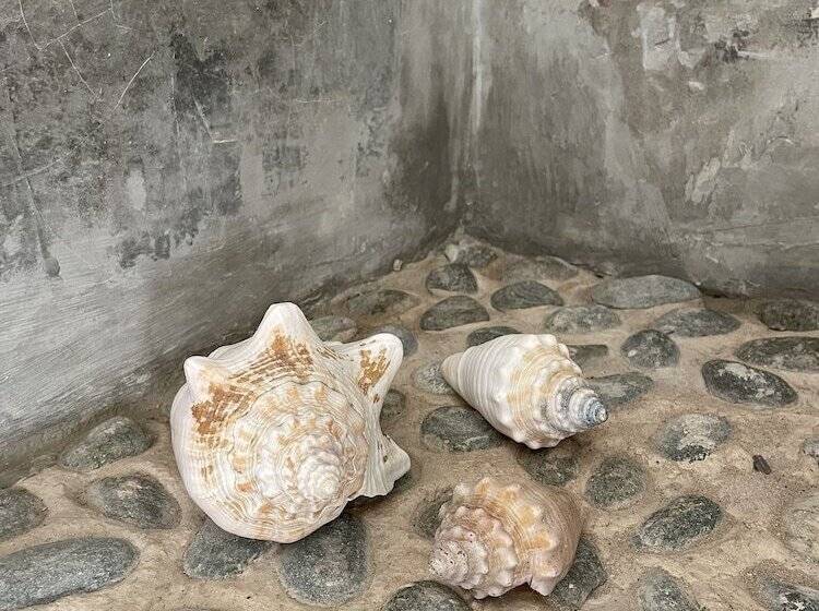 هتل Dos Mares Barefoot