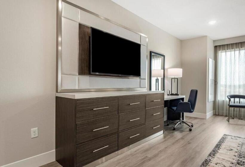 Cambria Hotel Austin Uptown Near The Domain