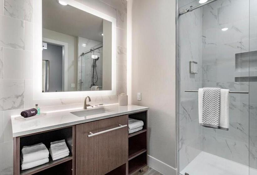 Cambria Hotel Austin Uptown Near The Domain
