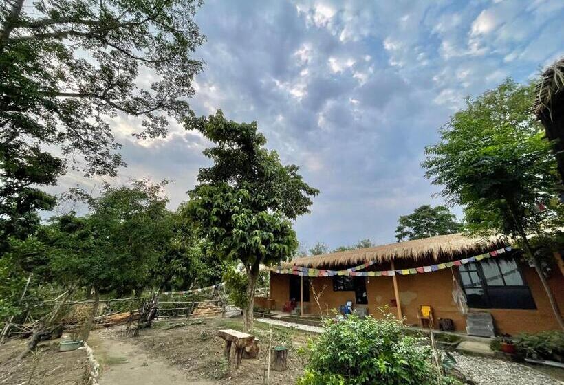 پانسیون Bamby Chilling House   Feel The Nature