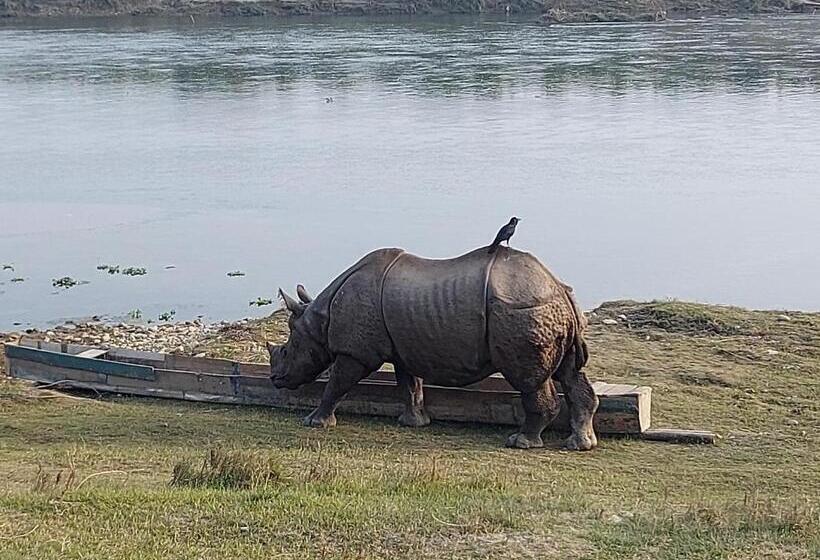پانسیون Bamby Chilling House   Feel The Nature