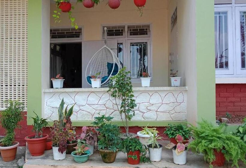 پانسیون New Dream Homestay