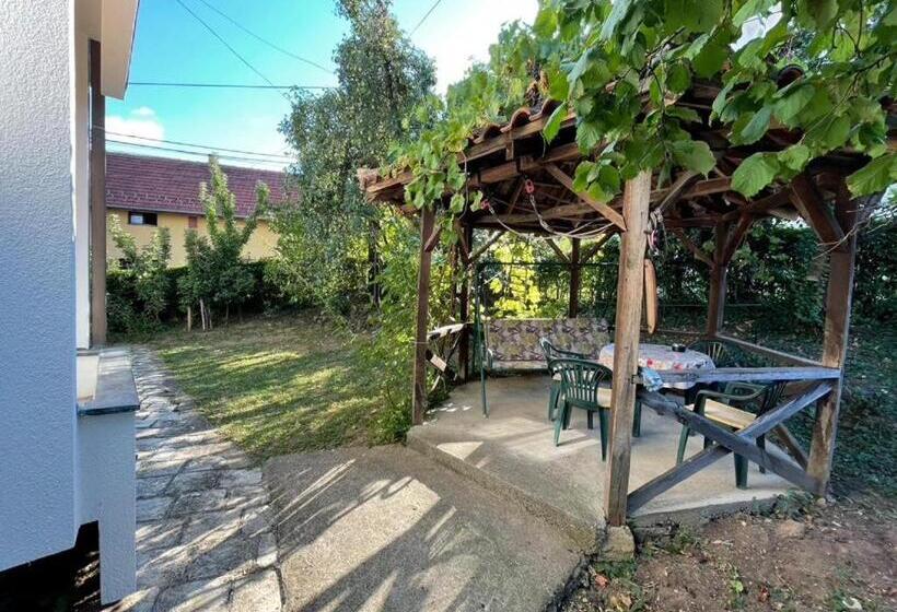 پانسیون Vidikovac Vrnjačka Banja