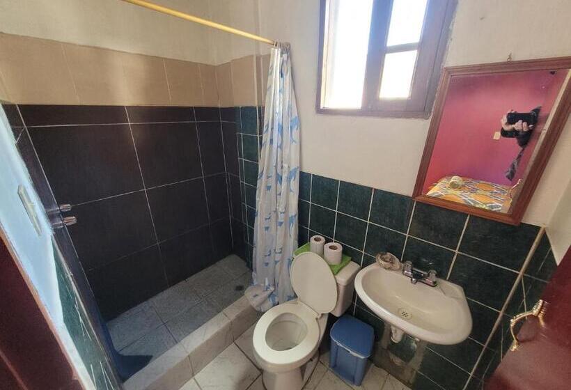 فندق صغير La Minga Hostal
