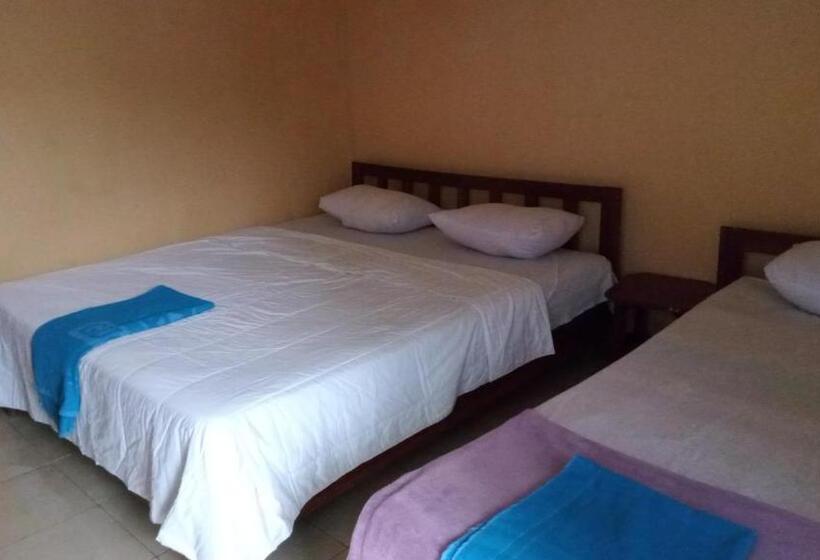 تختخواب و صبحانه Daniel Lodge