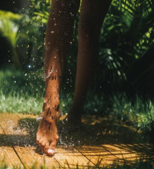 تختخواب و صبحانه Pousada Villa Cacau