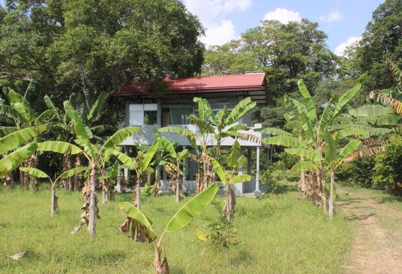 Forest Tree Top Holiday Resort