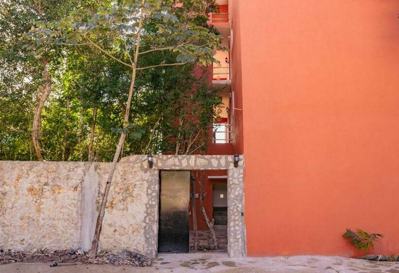 فندق Chaca Tulum