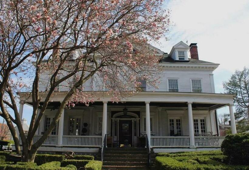 هتل The Pasfield House