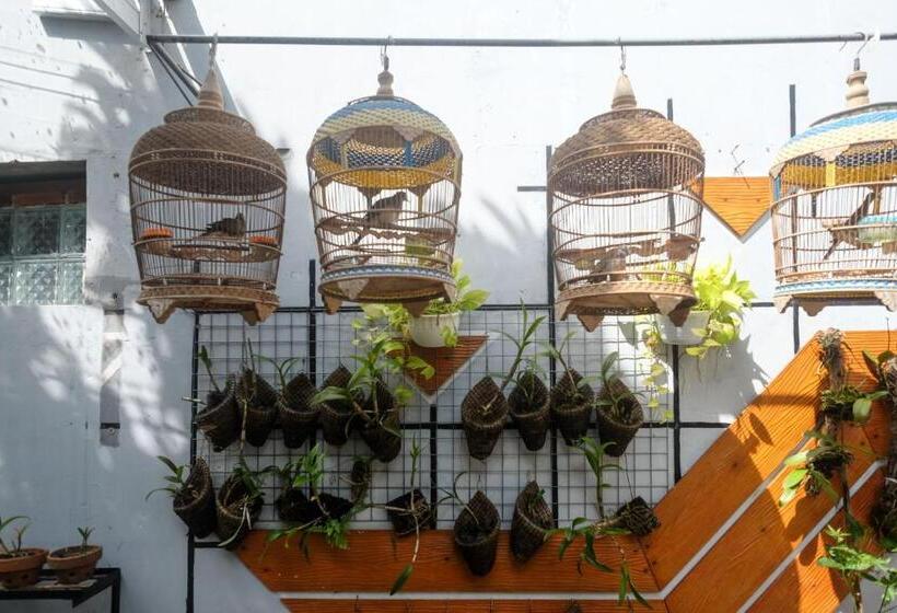 בית מלון כפרי Reddoorz Syariah Near Kampus Unsoed Purwokerto