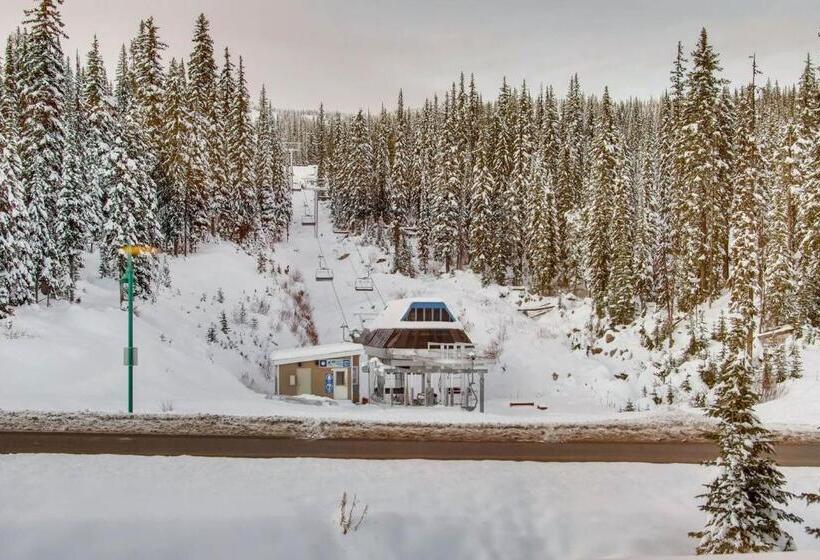 هتل Snowy Creek 10