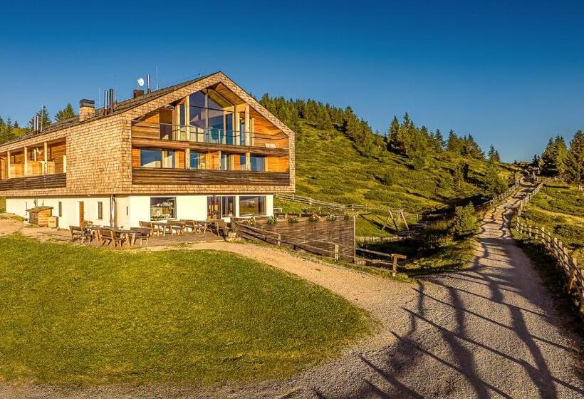 Отель Starkenfeldhütte