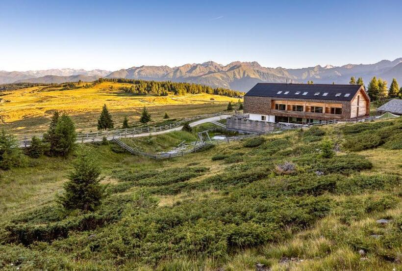 Отель Starkenfeldhütte