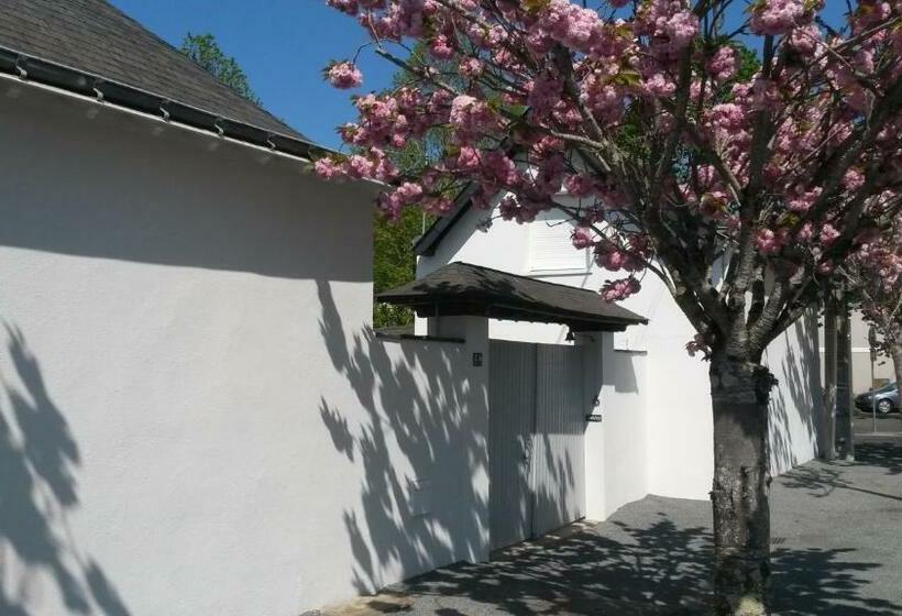 پانسیون Chambre Et Salon Sur La Loire à Vélo