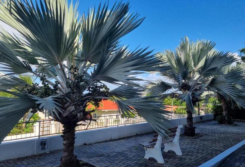پانسیون Studio Apartment Volterra Curacao