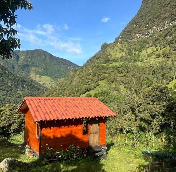 ベッドアンドブレックファースト Rincón Entre Piedras Cabaña Entre Montañas