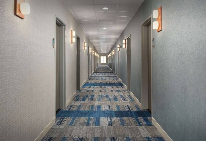 호텔 Home2 Suites By Hilton Flower Mound Dallas