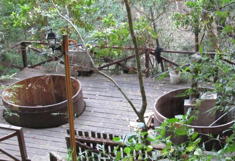 پانسیون Ecohostal Huellas Del Bosque