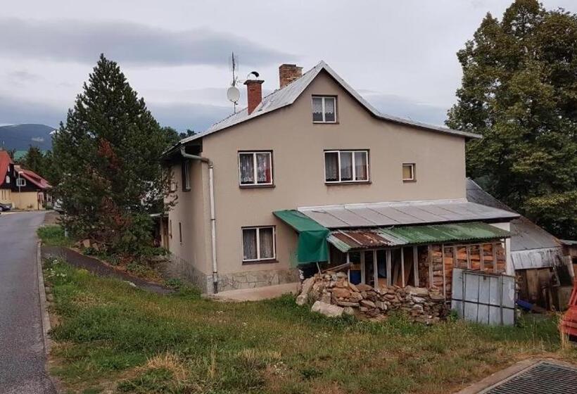 پانسیون Třilužkovy Pokoj Standart Id Pokoje 4917188