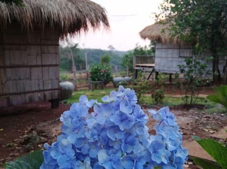 Bed and Breakfast La Villa Hortensia Mondulkiri