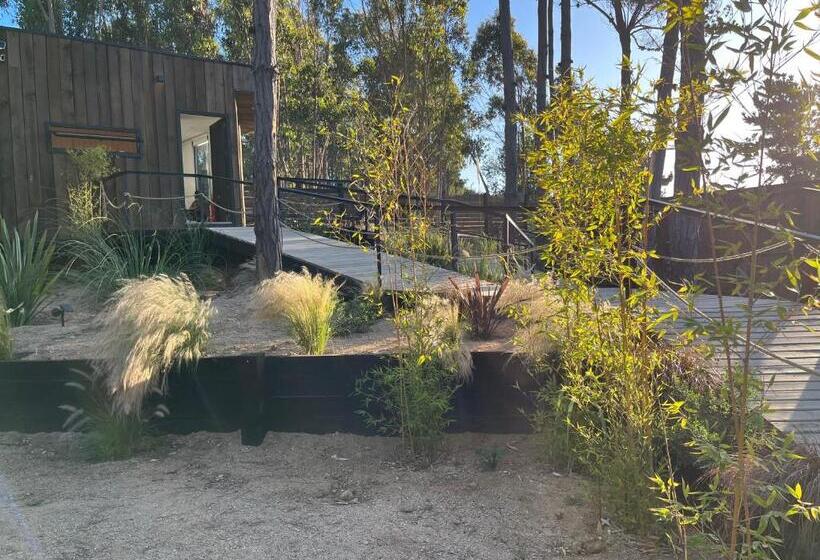 هتل Alma Lodge