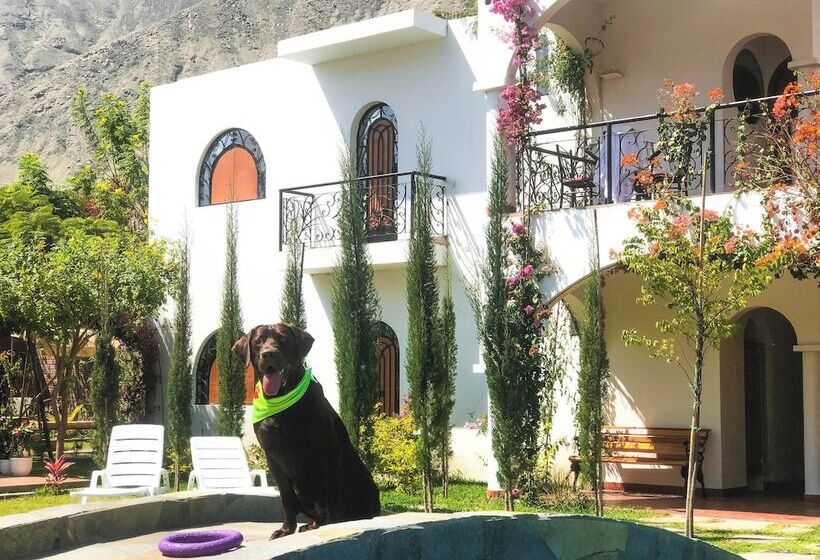 פנסיון Casa Hotel Mamaluna