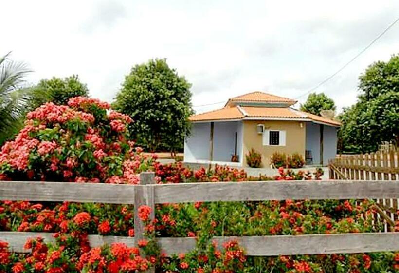 هاستل Pousada Canto Das Araras   Vila Bom Jardim Nobres Mt