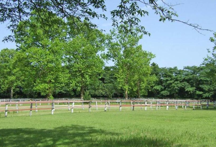 هتل Toyoko Inn Imba Nihonidai Ekimae