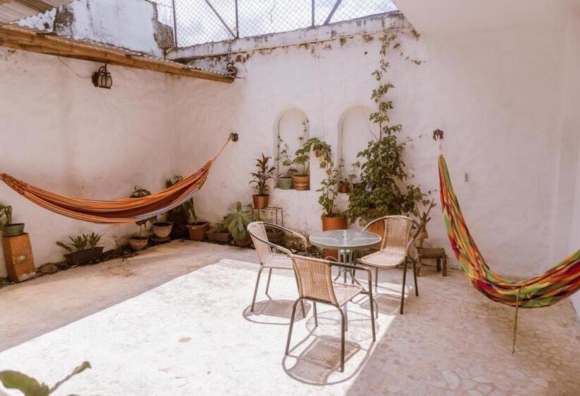 هتل Tuki Hostel & Lounge