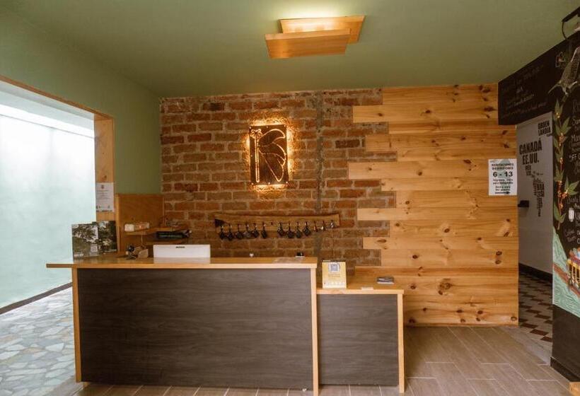 هتل Tuki Hostel & Lounge