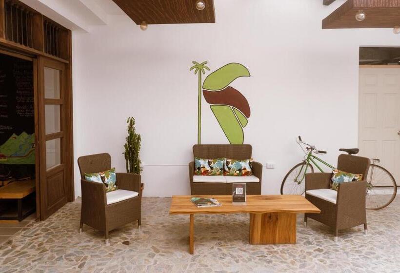 هتل Tuki Hostel & Lounge