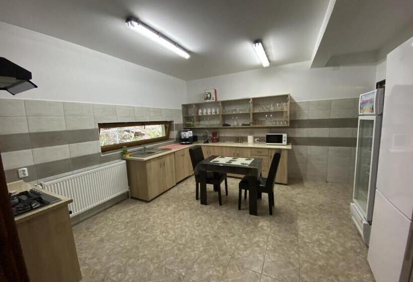 בית מלון כפרי Pensiunea Cheile șugăului