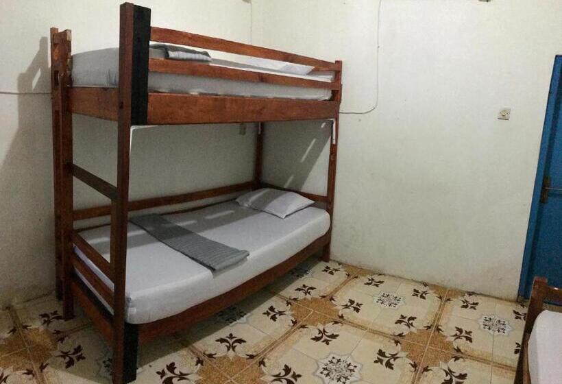 The House Hostel