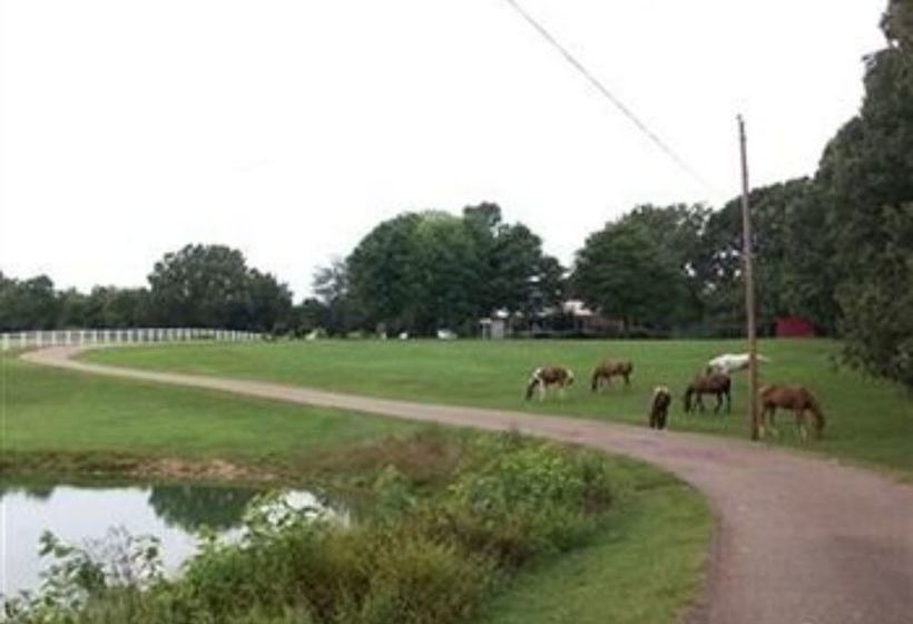Bed and Breakfast Meadow View Farm