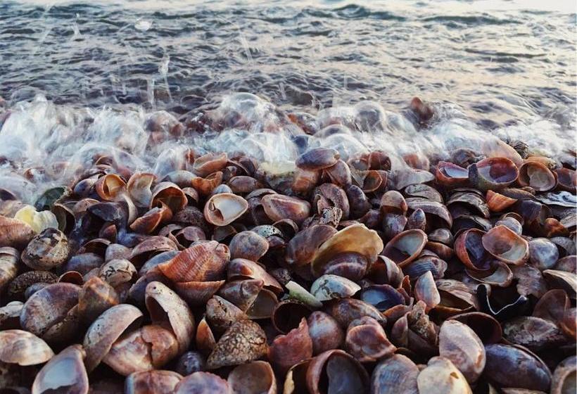 مبيت وإفطار Dune Fairfield Beach