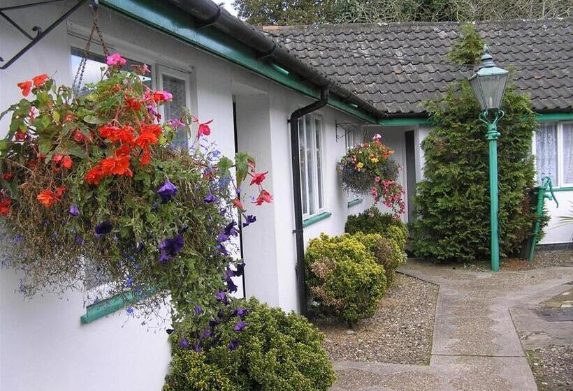 住宿加早餐  The Willow House