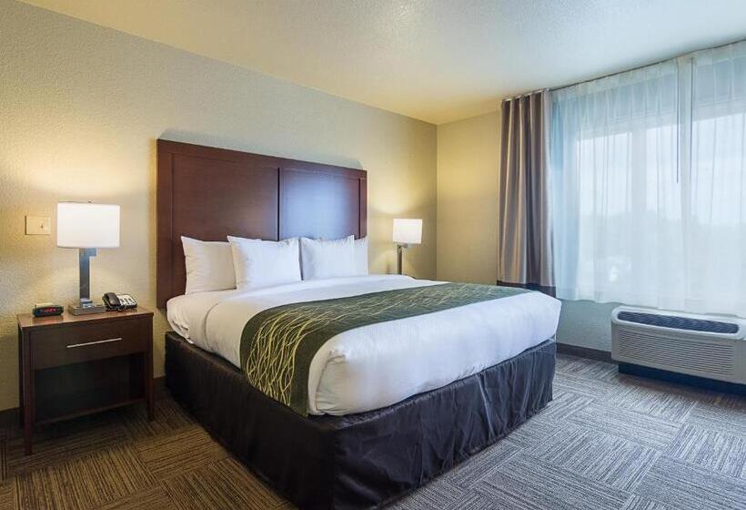 هتل Comfort Inn Bentonville  Crystal Bridges