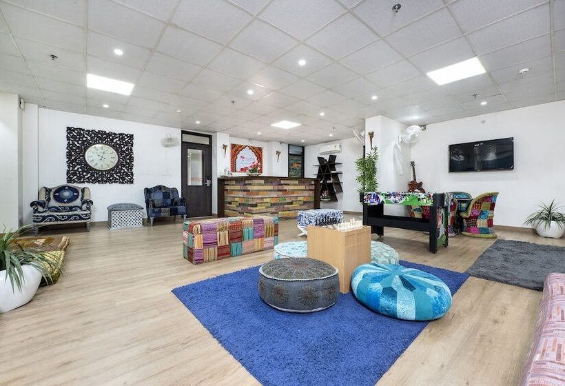 Fotos del hotel House Of Backpackers:  14