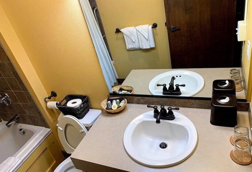 בית מלון כפרי Iowa House Historic Inn