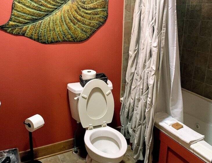 בית מלון כפרי Iowa House Historic Inn