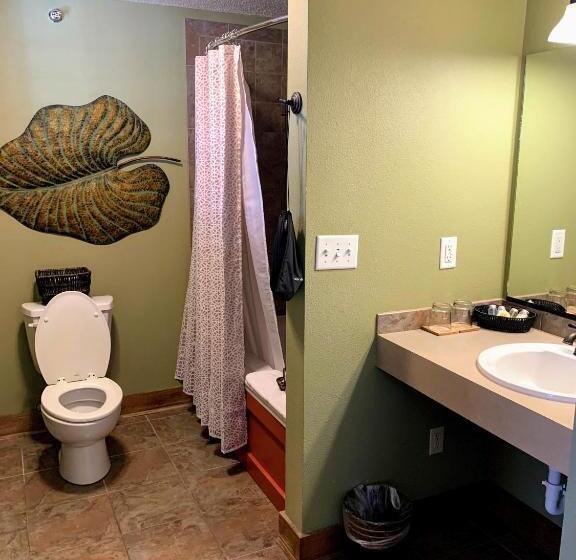 בית מלון כפרי Iowa House Historic Inn