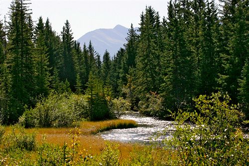 هتل Rundle Cliffs Lodge By Spring Creek Vacations