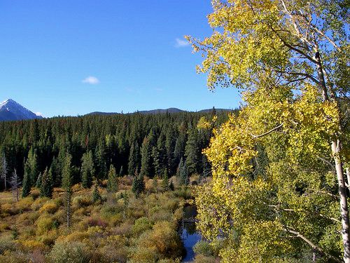 Hotel Silverthorne Townhome Nightly Rentals