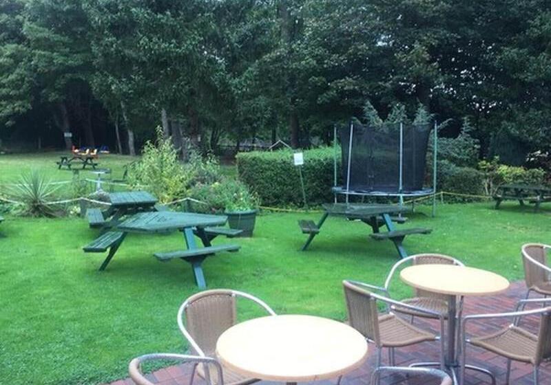 هتل The Winchfield Inn