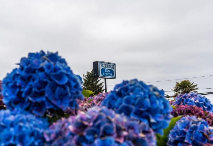 فندق على الطريق Blue Coast Inn & Suites