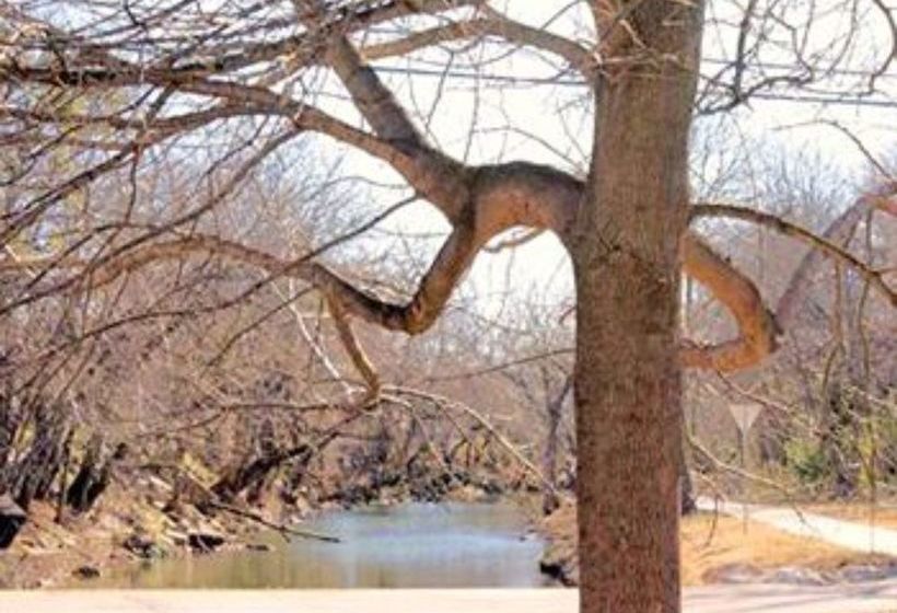 River Rock Bed And Breakfast Cottages