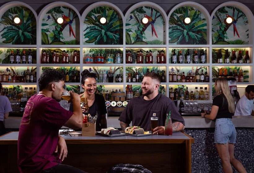 هاستل Lylo Auckland