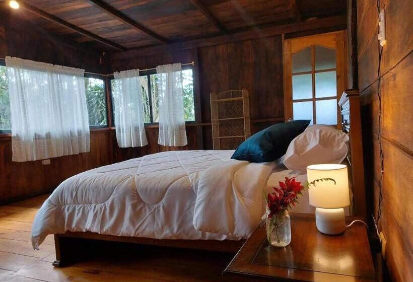 هتل The Temple Ii, Mindo