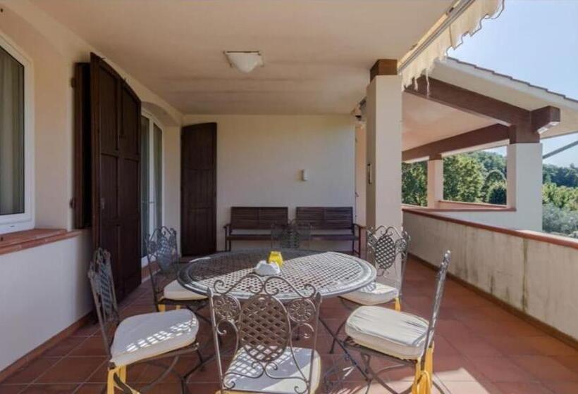 پانسیون Villa Con Piscina Privata   Vista Panoramica   7s   20 Guest
