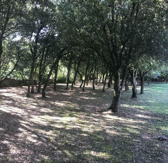 مبيت وإفطار Chambre D Hôte à La Maison Du Petit Bois 4 étoiles